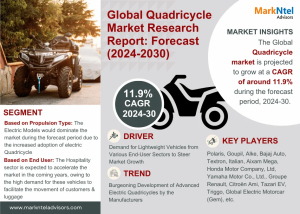 Quadricycle Market